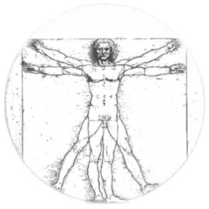 รูป Leonardo’s Vitruvian man ที่มา : http://www.4dbios.com/4-StarWards_files/Vitru2.jpg 
